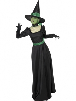 Wicked Witch Kostuum