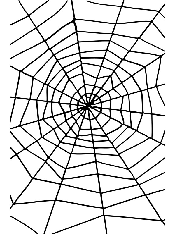 Zwart Spinnenweb met Spin